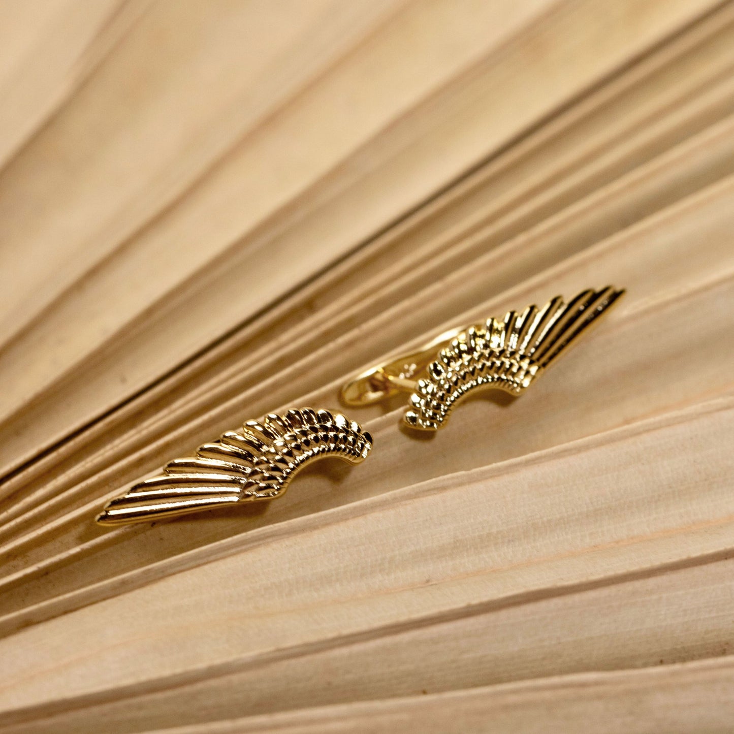 Arch Angel Hoops