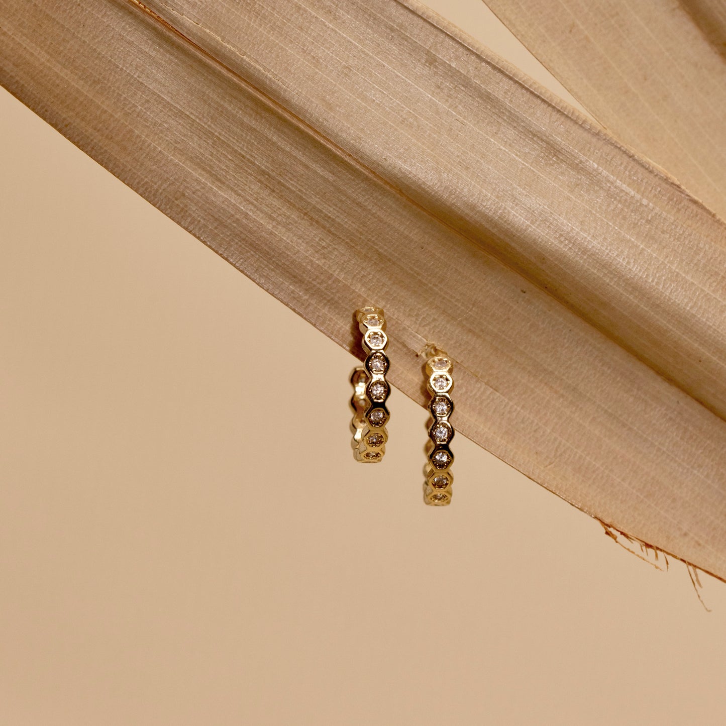 Sophia Hoops