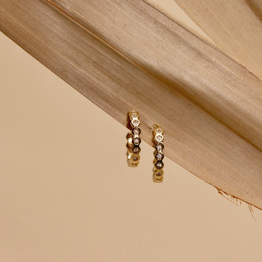 Sophia Hoops
